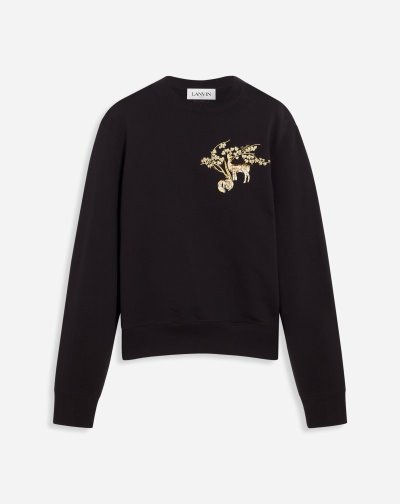 Lanvin Embroidered Sweatshirt Férfi Pulóverek Fekete | HU21465